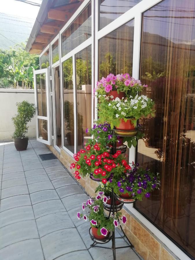 Mini-Hotel Yanson 2 Gagra Kültér fotó